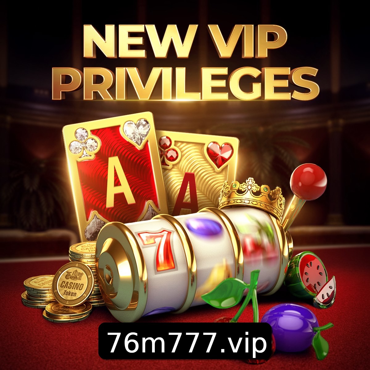 Programa VIP 76M